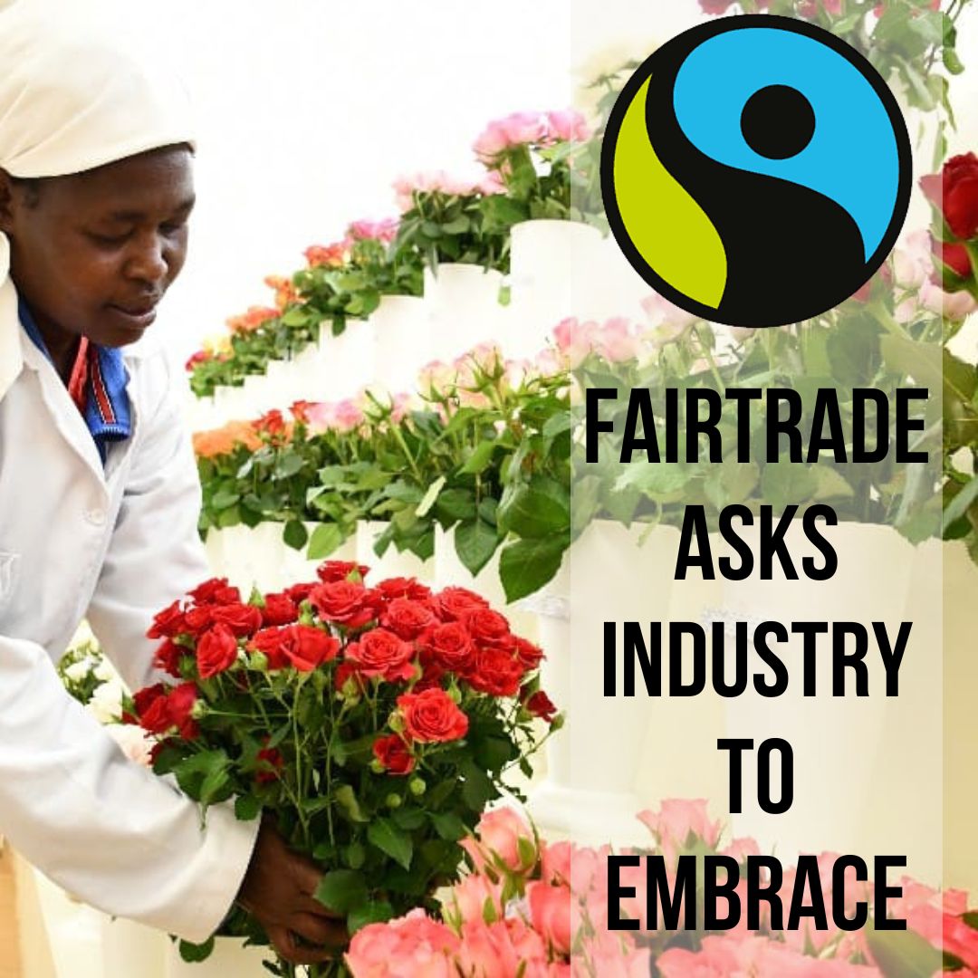 Partnership power helps flower farmers flourish